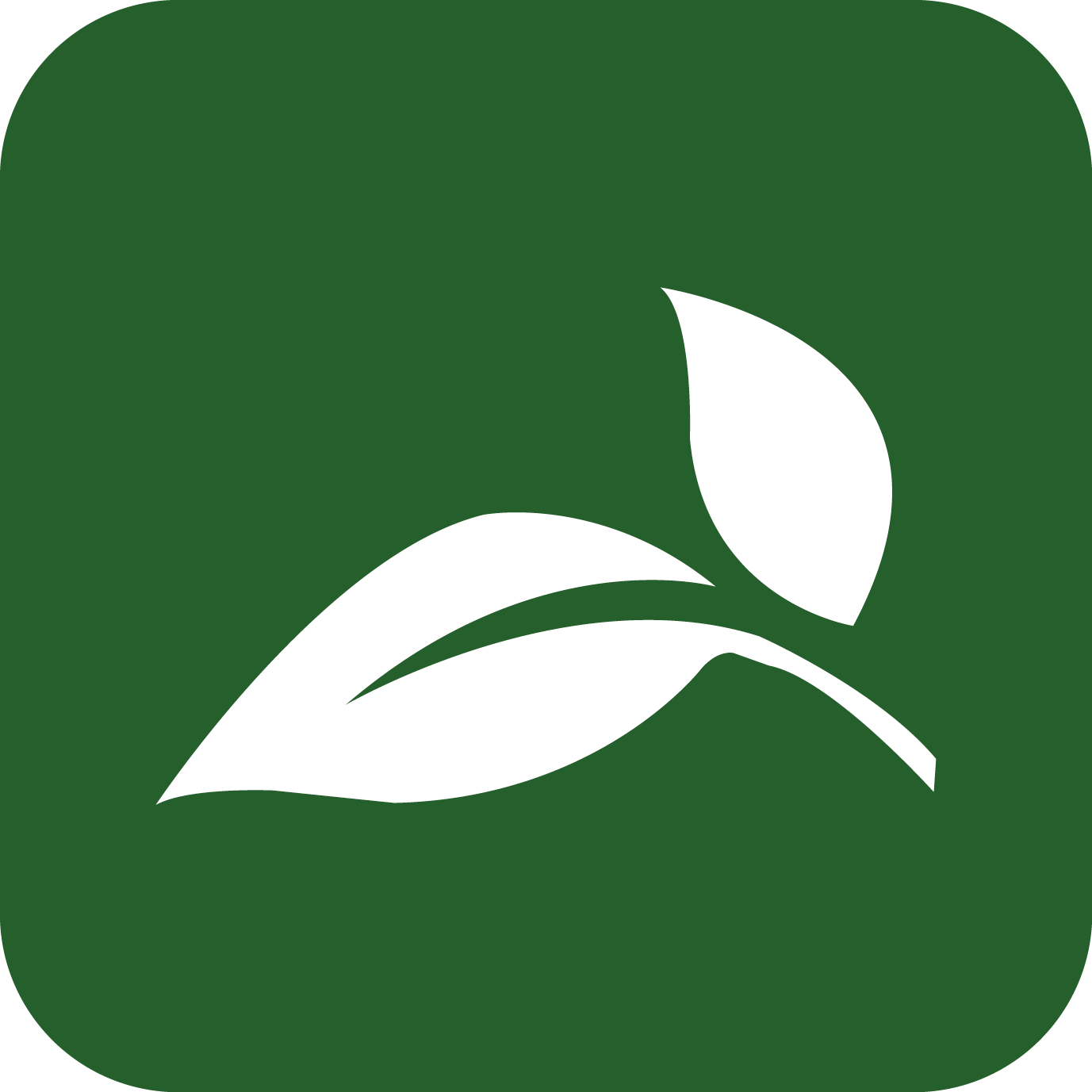 Leaf icon