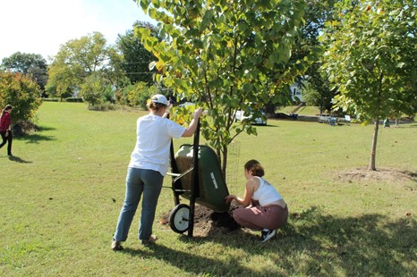 Two people planting a tree in a field