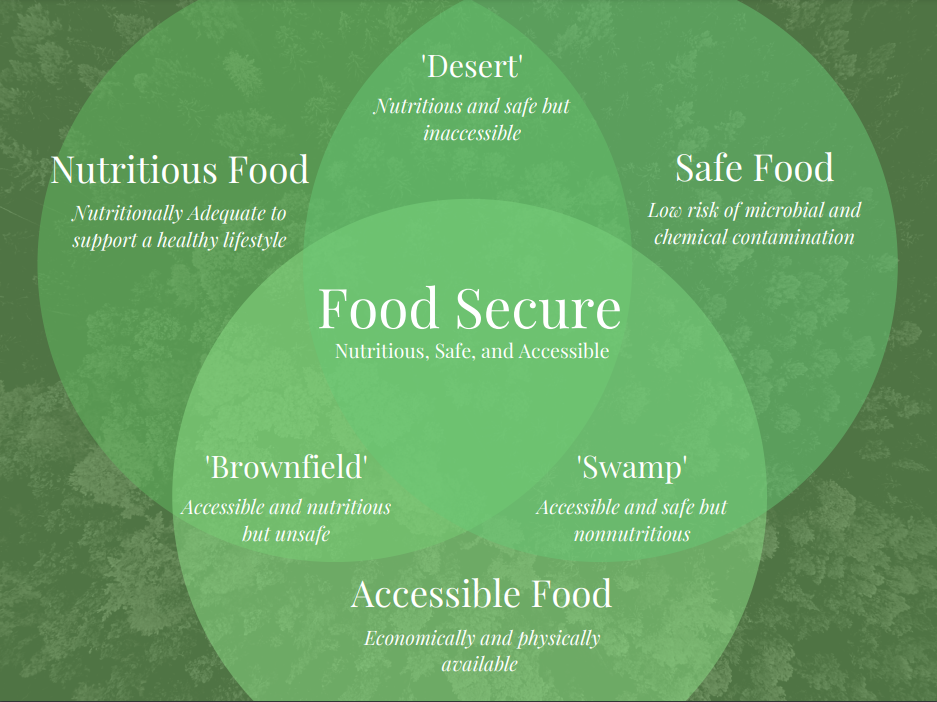 this image contains formatted text that shows a triple-venn diagram of the three constructs of food security: accessibility, nutrition, and safety. when you have all 3, you are food secure.